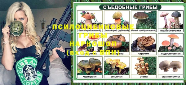 ешки Алексин