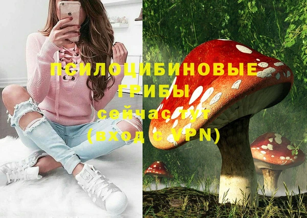 ешки Алексин