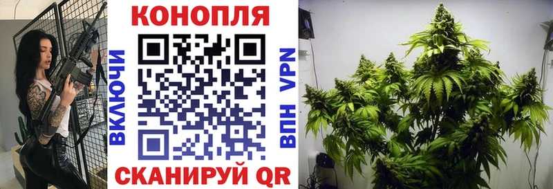 Конопля VHQ  даркнет сайт  Сургут 